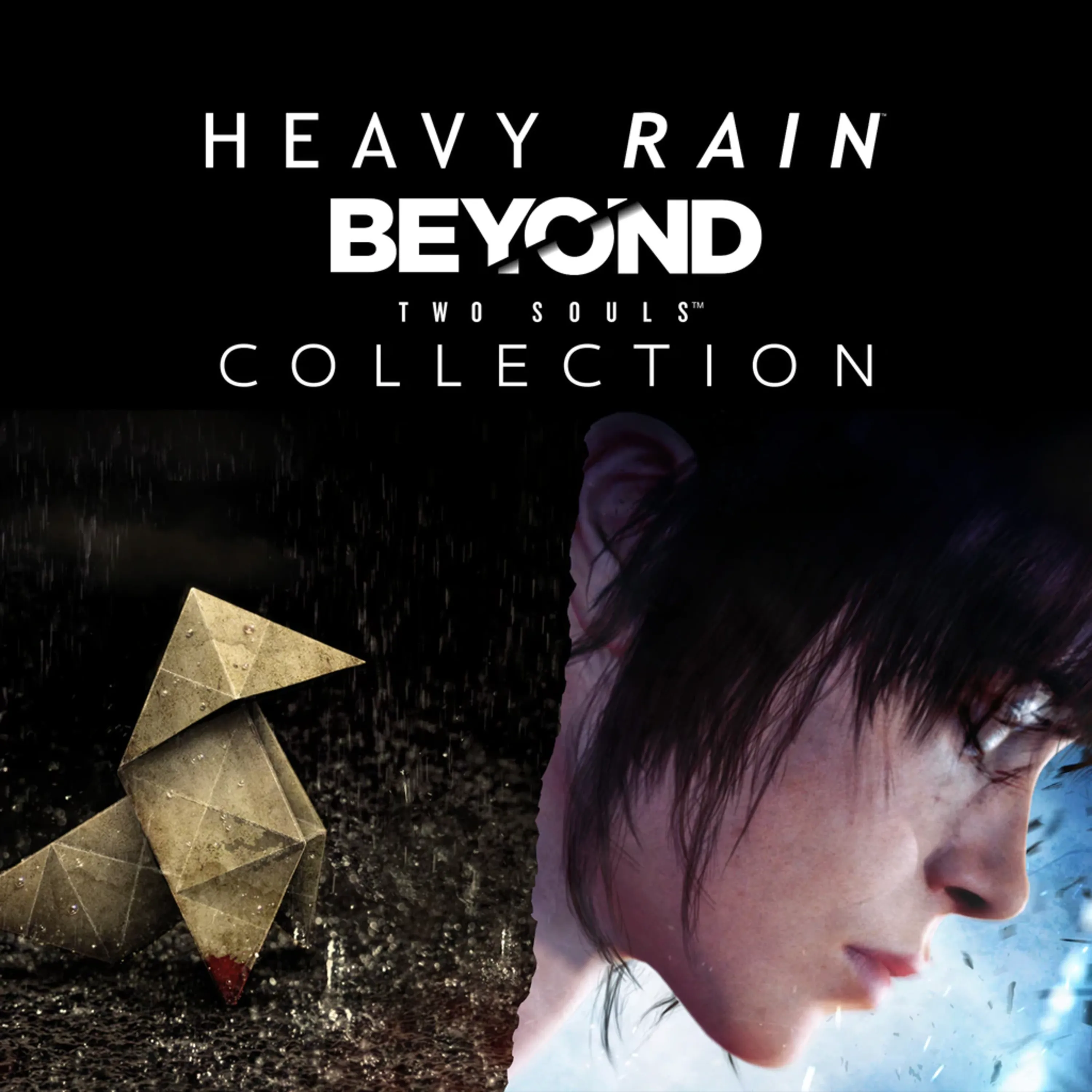 اکانت قانونی The Heavy Rain & BEYOND: Two Souls Collection برای PS4 & PS5