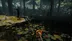 اکانت قانونی THE FOREST برای PS4 & PS5
