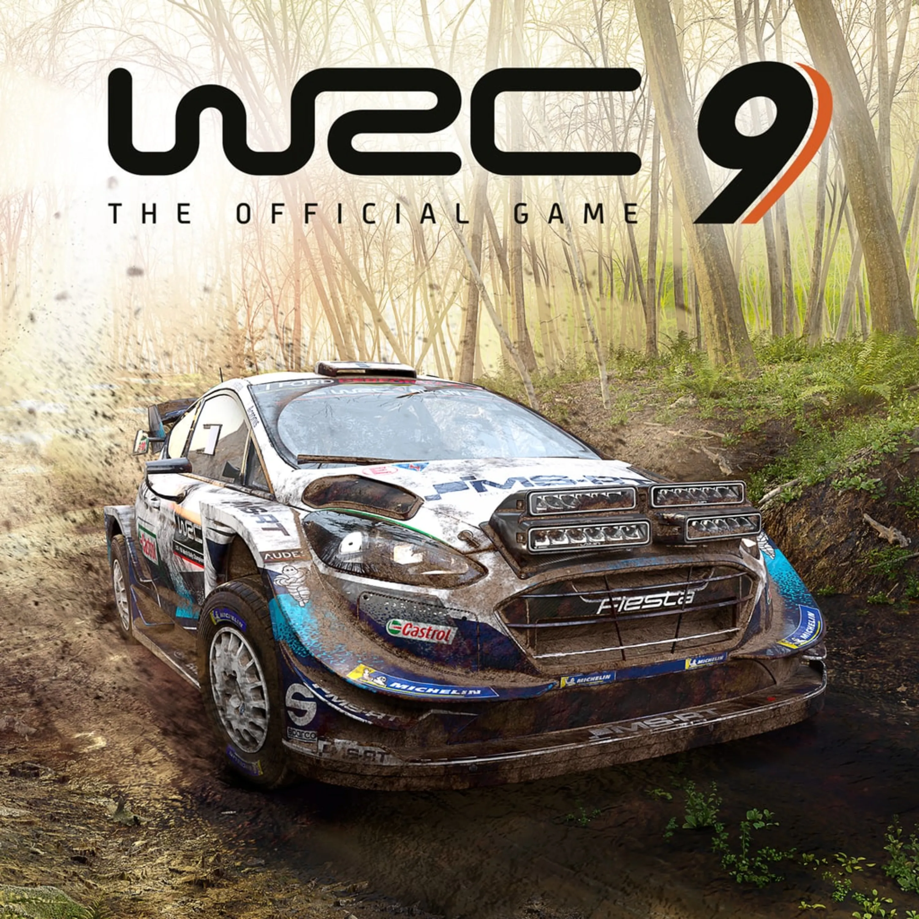 اکانت قانونی WRC 9 FIA World Rally Championship برای PS4 & PS5