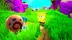 با خرید اکانت قانونی بازی SpongeBob SquarePants: Battle for Bikini Bottom - Rehydrated از فروشگاه گیم پردایس میتوانید به راحتی بر روی پلی استیشن به تجربه این بازی محیج و زیبا دسترسی داشته باشید