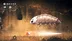 اکانت قانونی Hollow Knight: Silksong برای PS5 & PS4