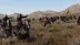 اکانت قانونی Mount & Blade II: Bannerlord برای PS5 & PS4