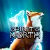 اکانت قانونی Spirit of the North برای PS5 & PS4
