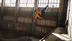 اکانت قانونی Tony Hawk's Pro Skater 1 + 2 برای PS5 & PS4