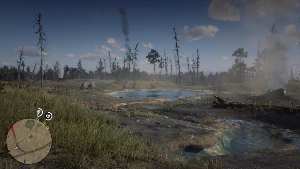 6 – Cotorra Springs