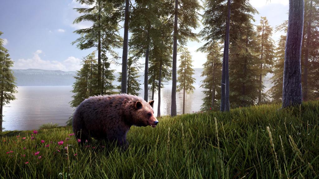 مشخصات اکانت قانونی Hunting Simulator 2 برای PS5,PS4