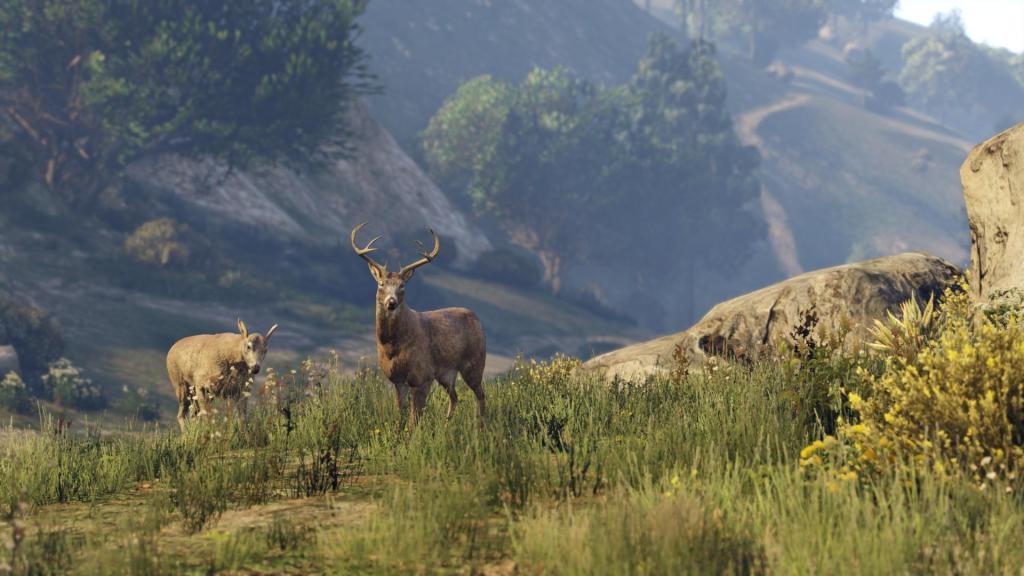 مشخصات اکانت قانونی Grand Theft Auto V - GTA V برای PS4,PS5